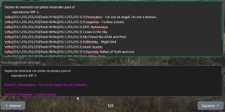 Panel de vista previa mostrando texto con colores y saltos de línea